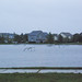 Carol Flood Photo 26