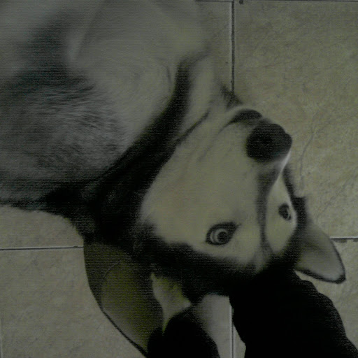 Michelle Almanza Photo 8