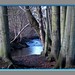 Don Winters Photo 20