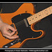 Robert Squier Photo 14