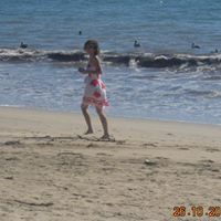 Darlene Lamb Photo 12