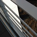 Jean Meier Photo 12