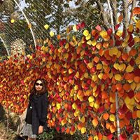 Nguyet Pham Photo 8