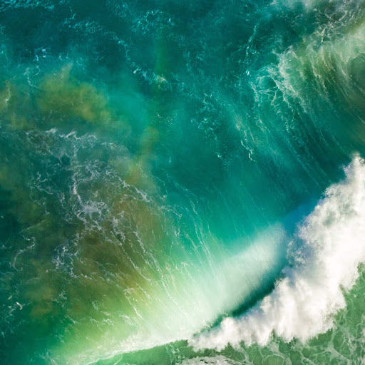 Julian Wilson Photo 35