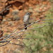 Kathleen Spring Photo 12