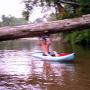 Ron Mcdaniel Photo 14