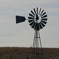 Chris Dailey Photo 9