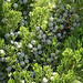 Donna Berry Photo 9