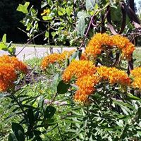 Teresa Adair Photo 10
