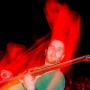 Tim Peterson Photo 6