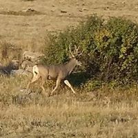 Robert Farris Photo 33