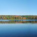 Joy Ponds Photo 6