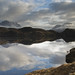 Lee Wester Photo 15