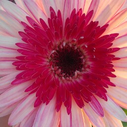 Anna Daugherty Photo 22