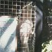 Nancy Parrot Photo 11