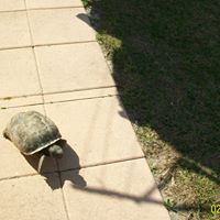 Dawn Luce Photo 21
