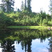 Nancy Lake Photo 17