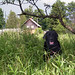Lester Lester Photo 30