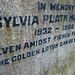 Thomas Plath Photo 8