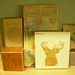 Shauna Wood Photo 17