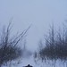 Randy Lay Photo 22