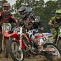 Robert Vogel Photo 32