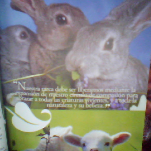 Nicolas Huerta Photo 7
