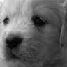 Judith Wood Photo 46