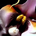 John O'Keefe Photo 16