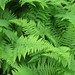 Wendy Tobin Photo 13
