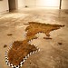 James Sperry Photo 20