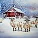 Cathy Wilson Photo 13