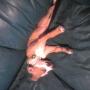 Tommy Dailey Photo 13