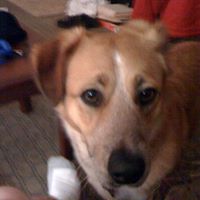 Buddy Garrett Photo 8