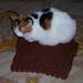 Penny Vest Photo 3