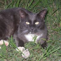 Shellie Bell Photo 7