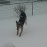 Billy Howell Photo 16