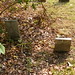 Aaron Albright Photo 12