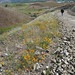 April Ridge Photo 8