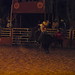 Richard Houston Photo 21
