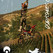 Jimmy Fitzpatrick Photo 14