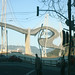 Gail Combs Photo 17
