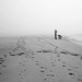 Julie James Photo 16