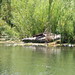Samuel Mink Photo 8