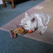 Vicky Ball Photo 15