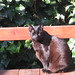 Roberta Coats Photo 14