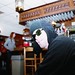 Allan Harder Photo 11