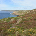 Heather Land Photo 20