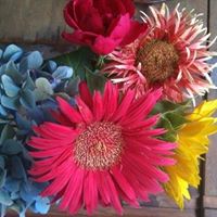 Kimberly Mcadams Photo 13