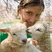 Theresa Lamb Photo 22